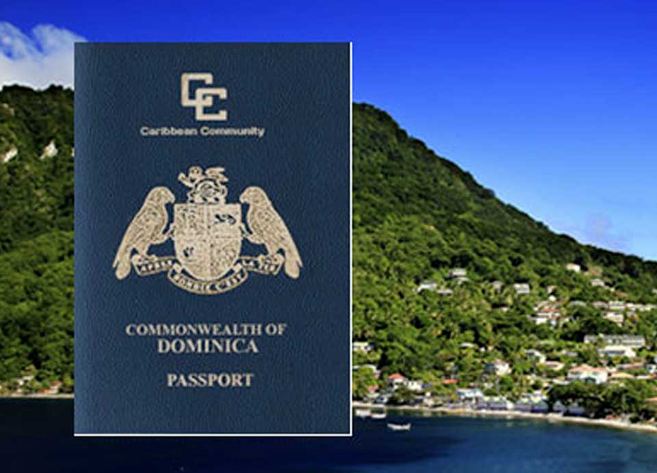 Easy Access to Vital Certificates in Dominica 2024: Police, Birth, Marriage